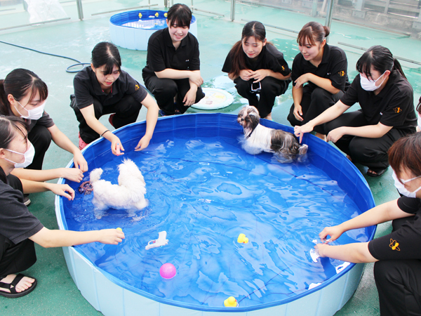 ☆Ｗａｎ活の表彰式☆